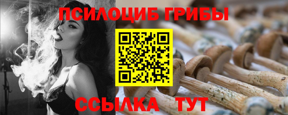 Людиново  Галлюциногенные грибы GOLDEN TEACHER  где продают наркотики  Псилоцибиновые грибы мухоморы  Вход с VPN 