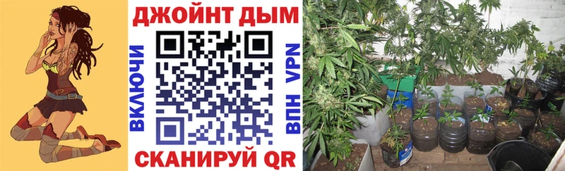 Конопля OG Kush  что такое   Людиново 